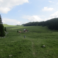 IMG_0036