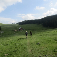 IMG_0037